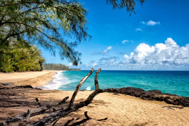 Picture of LUMAHAI BEACH