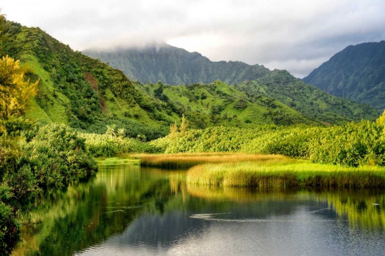 Picture of COASTAL MARSH I