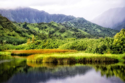 Picture of COASTAL MARSH II