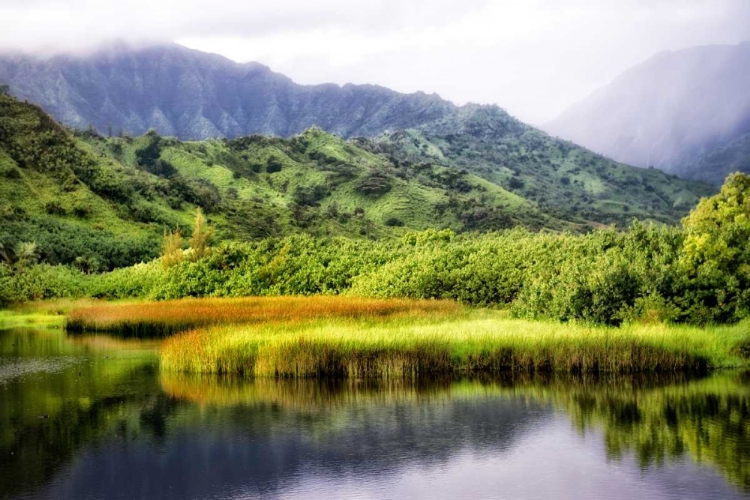 Picture of COASTAL MARSH II