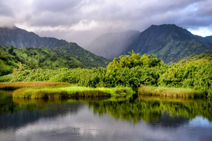 Picture of COASTAL MARSH III