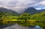 Picture of COASTAL MARSH IV