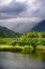 Picture of COASTAL MARSH TRIPTYCH III