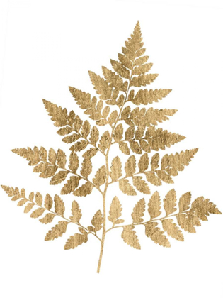 Picture of GRAPHIC GOLD FERN I