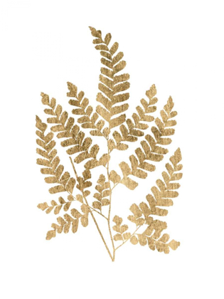 Picture of GRAPHIC GOLD FERN II