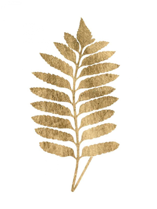 Picture of GRAPHIC GOLD FERN III