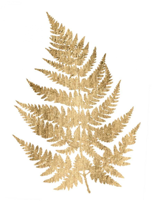 Picture of GRAPHIC GOLD FERN IV