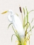 Picture of WATERBIRDS AND CATTAILS IV