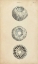 Picture of CYLINDRICAL SHELLS I
