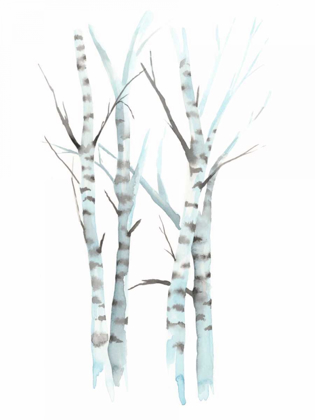 Picture of AQUARELLE BIRCHES I