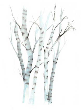 Picture of AQUARELLE BIRCHES II