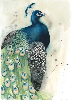 Picture of WATERCOLOR PEACOCK PORTRAIT I