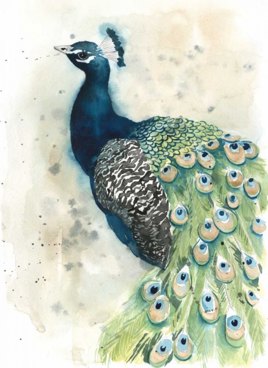 Picture of WATERCOLOR PEACOCK PORTRAIT II