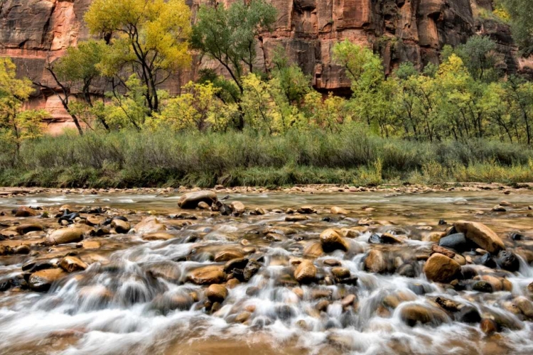 Picture of ROCKY BOTTOM