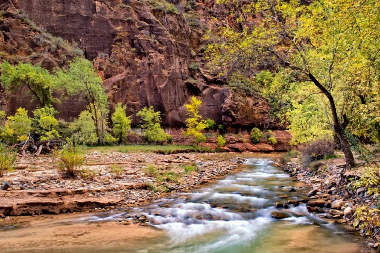 Picture of ZION AUTUMN I