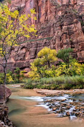 Picture of ZION AUTUMN II