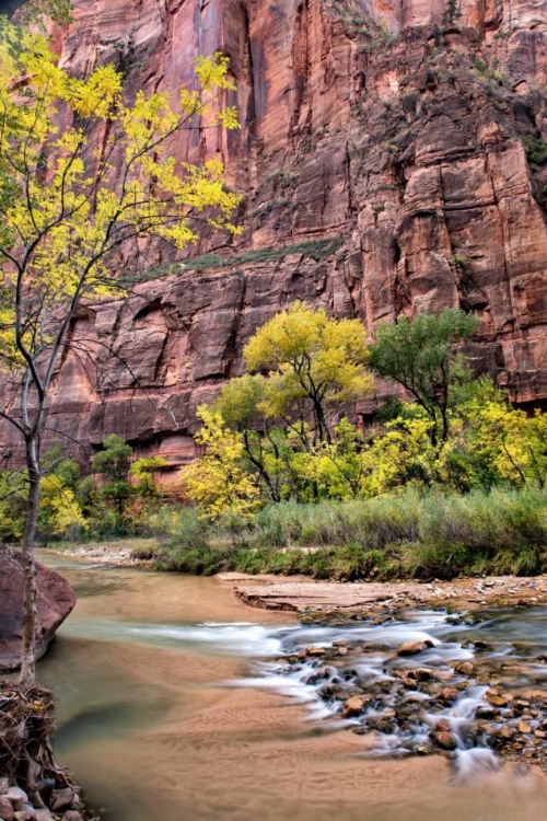 Picture of ZION AUTUMN II