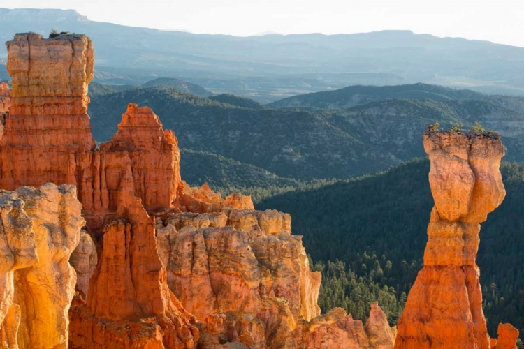 Picture of ON THE ROCKS, UTAH