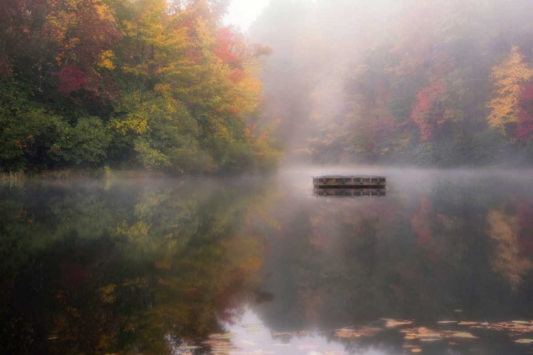 Picture of MIST ON THE LAKE