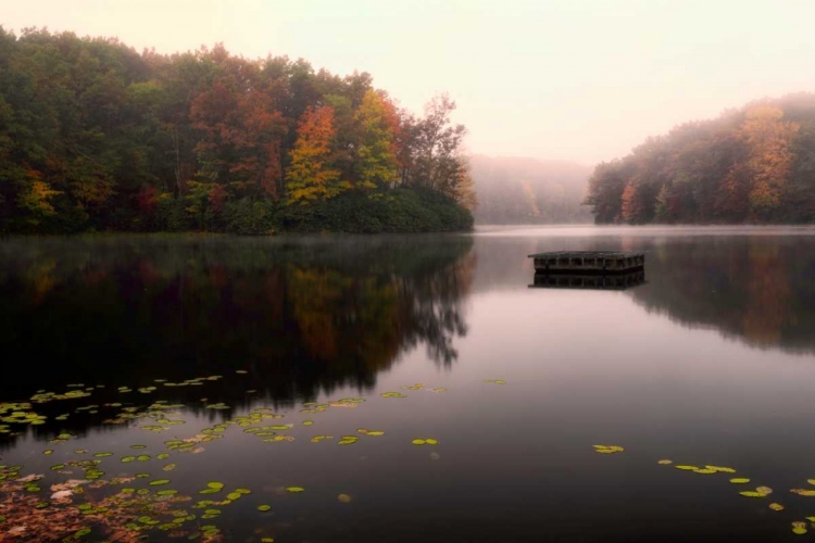 Picture of STILL OF THE LAKE