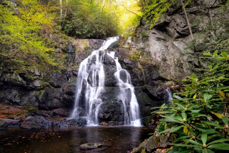 Picture of SPRUCE FLAT FALLS