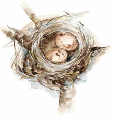 Picture of BIRD NEST STUDY I