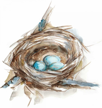 Picture of BIRD NEST STUDY II