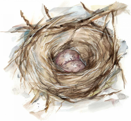 Picture of BIRD NEST STUDY IV