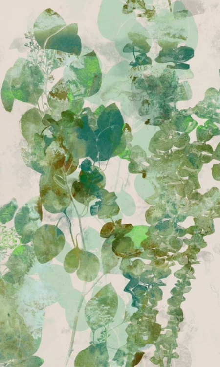 Picture of WATERCOLOR EUCALYPTUS II