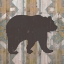 Picture of SOUTHWEST LODGE ANIMALS III