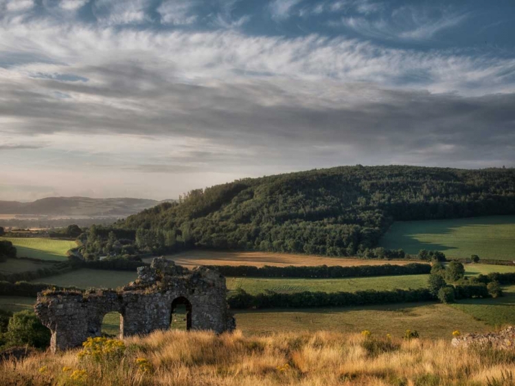 Picture of IRELAND RUINS