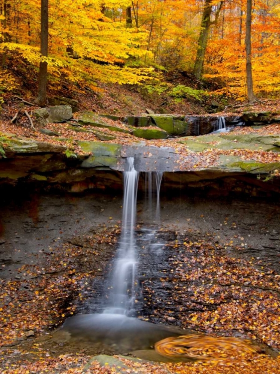 Picture of BLUE HEN FALLS