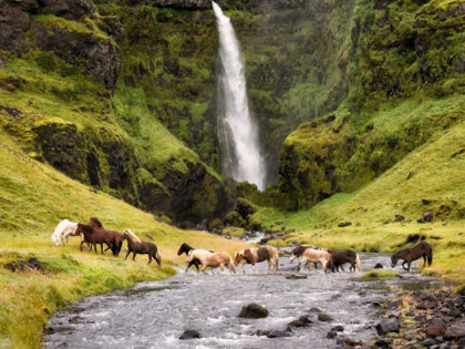 Picture of WATERFALL HORSES II