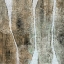 Picture of LIVE EDGE IV
