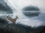 Picture of DEER PATH II