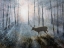 Picture of DEER PATH IV
