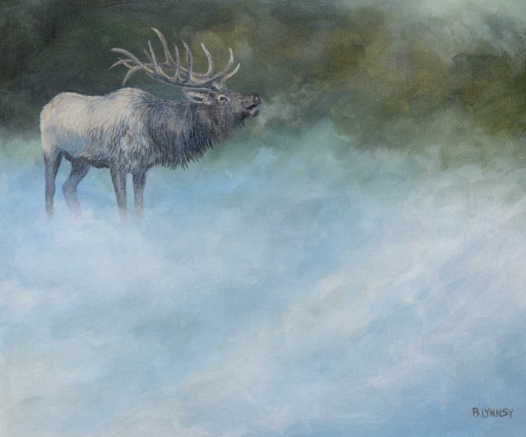 Picture of ELK JOURNEY II