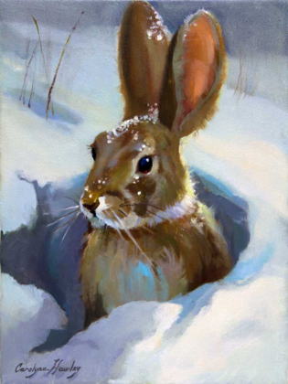 Picture of SNOW BUNNY