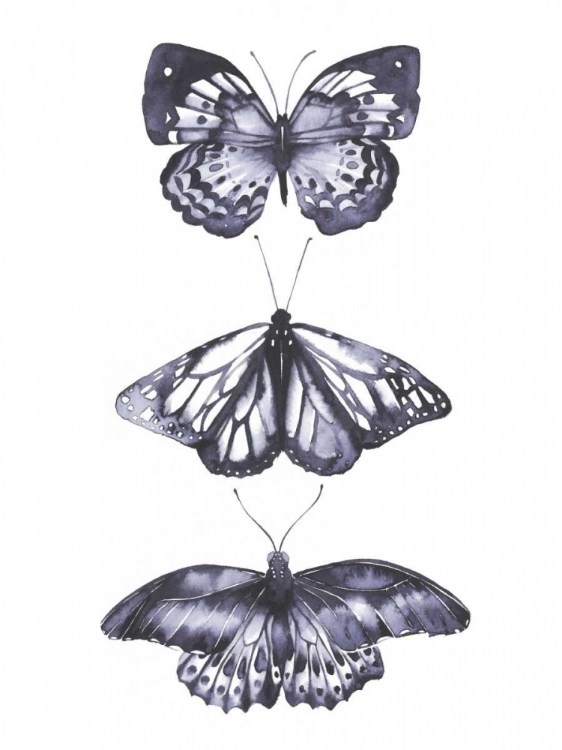 Picture of MONOCHROME BUTTERFLIES II