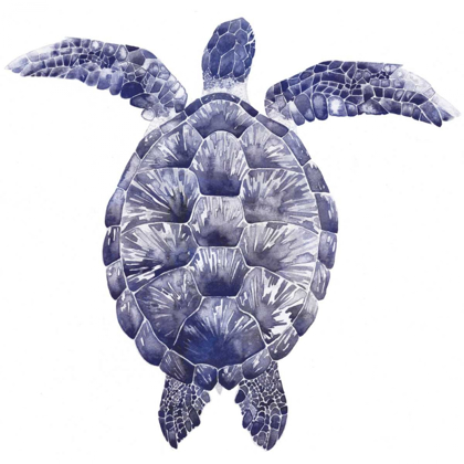 Picture of MARINE TURTLE I