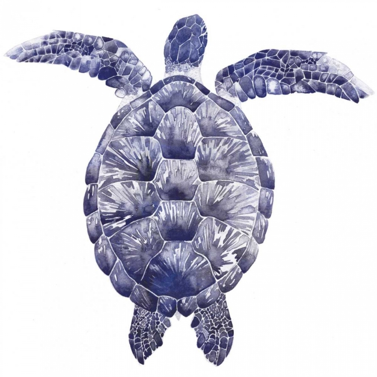 Picture of MARINE TURTLE I