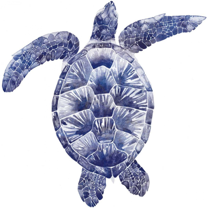 Picture of MARINE TURTLE II