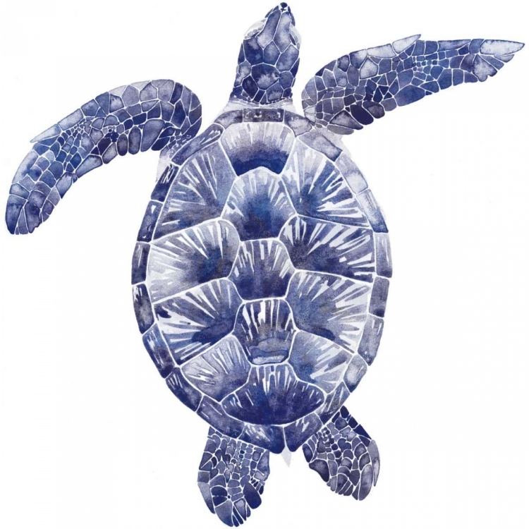 Picture of MARINE TURTLE II