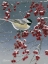 Picture of WINTER CHICKADEES I
