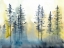 Picture of SHADOW FOREST I