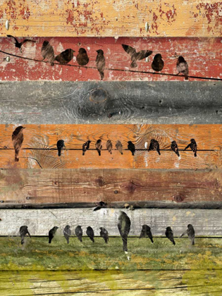 Picture of BIRDS ON WOOD I