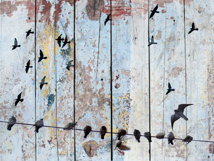 Picture of BIRDS ON WOOD III