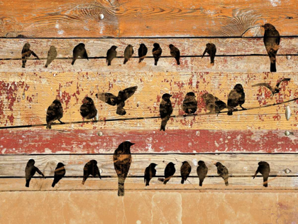 Picture of BIRDS ON WOOD V