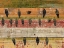 Picture of BIRDS ON WOOD VI