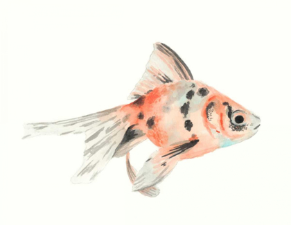 Picture of WATERCOLOR TROPICAL FISH I